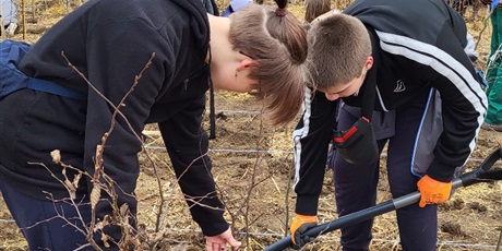 Powiększ grafikę: Uczniowie  podcza akcji sadzenia pierwszego gdańskiego mikrolasu przy zbiorniku Świętokrzyska II