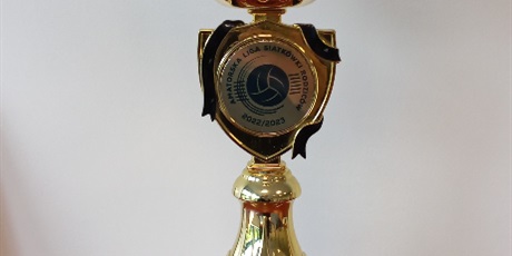 Powiększ grafikę: Puchar za zajęcie 1 miejsca w rozgrywkach Amatorkiej Ligi Siatkówki rodzciów.