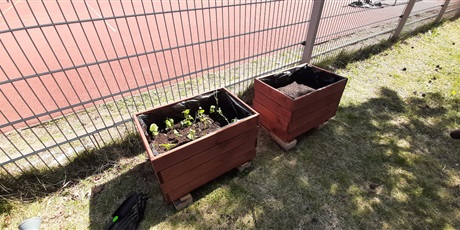Ogródek warzywny klasy 2d