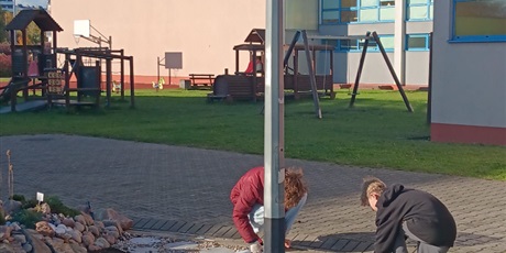 Powiększ grafikę: Zabezpieczanie przez uczniów drenażu geotkaniną.