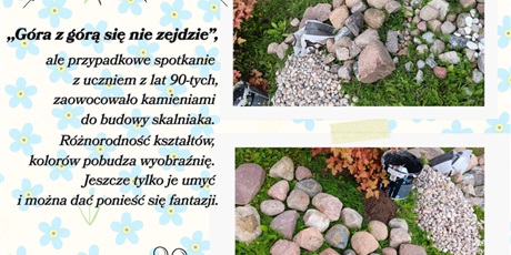 Skalniak - cd.