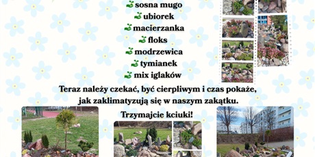 Skalniak niczym ,,śpiąca królewna” budzi się do życia.