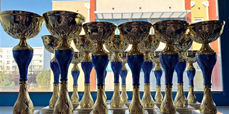 Powiększ grafikę: Puchary dla Laureatów konkursu "Omnibus".