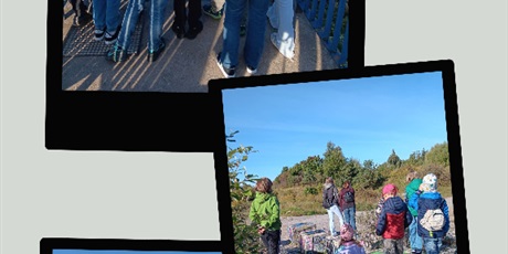 Zielone wyjścia - poznaj swój region