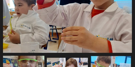 Powiększ grafikę: Uczniowie klasy 1e podczas warsztatów chemicznych. Kolaż zdjęć. Dzieci siedzą przy swoich stanowiskach pracy i mieszają płyny o różnej gęstości. W probówkach widoczne są różnobarwne płyny.